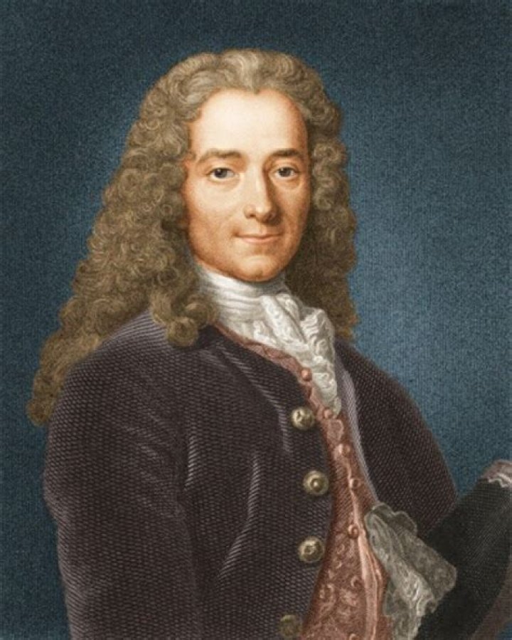 What did Voltaire do for a living?