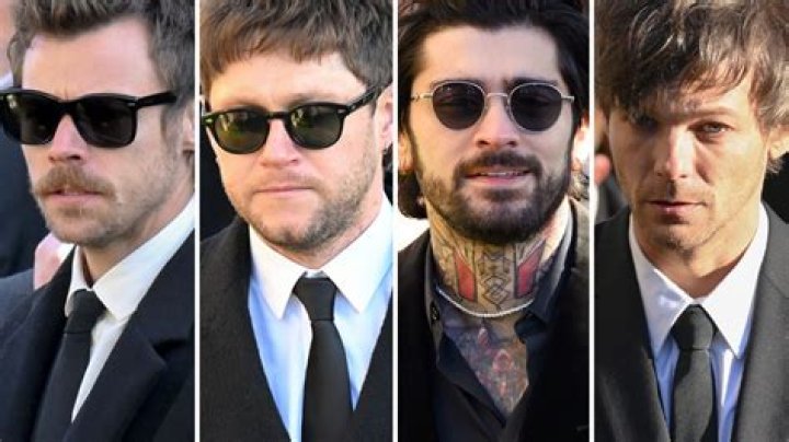 What did Zayn Malik say about Niall Horan?