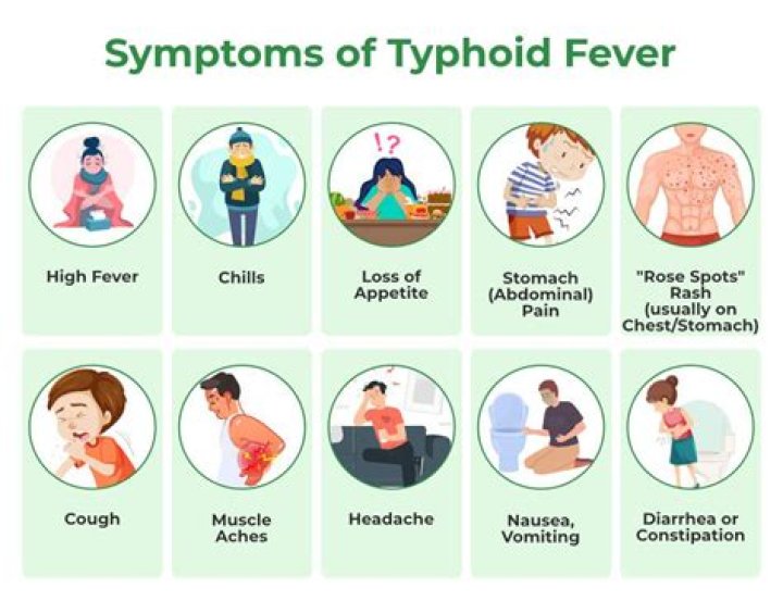 What disease is caused by Phytophthora?