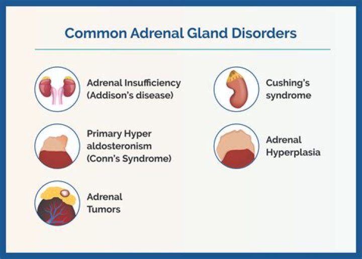 What diseases are associated with the adrenal gland?