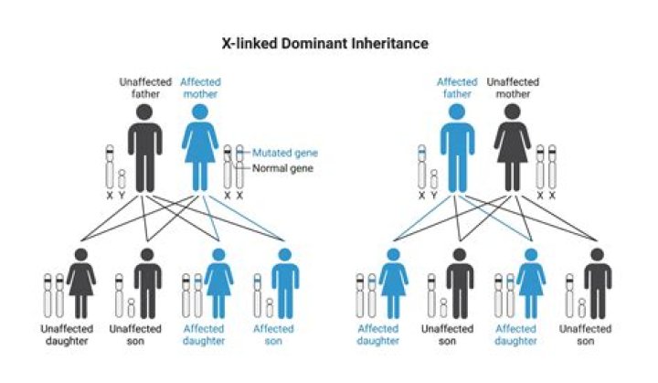 What diseases are due to a recessive X-linked disorder?