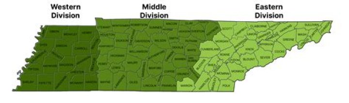 What District is Mantua in?