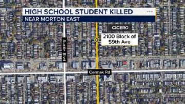 What district is Morton East High School?