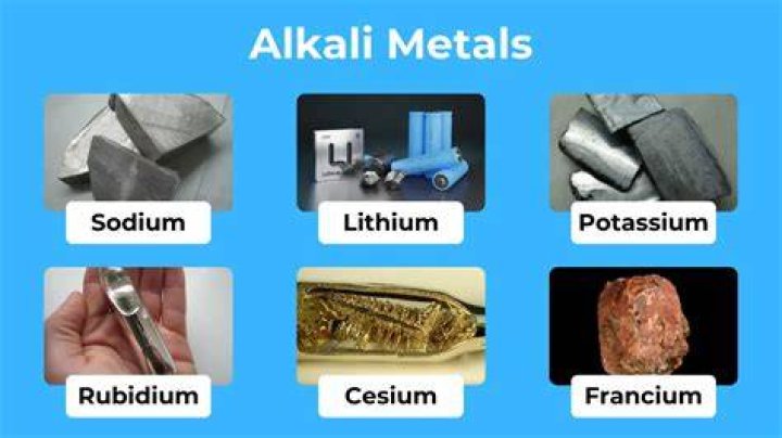 What do alkali metals not include?