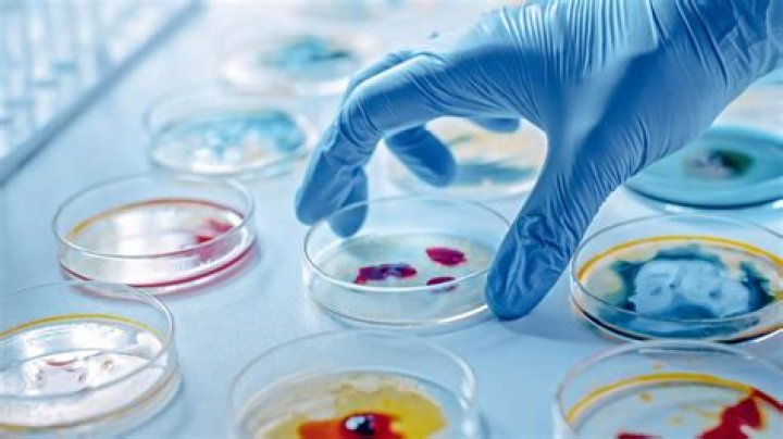 What do aquatic microbiologists do?