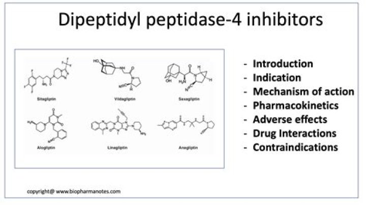 What do dipeptidyl peptidase 4 inhibitors do?