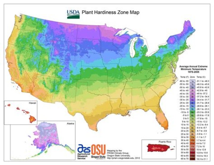 What do hardiness zones mean?
