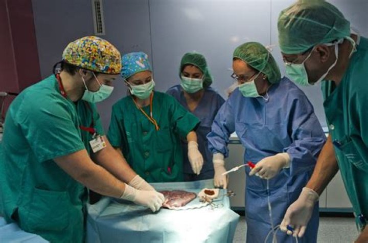 What do hospitals do with the placenta after birth?