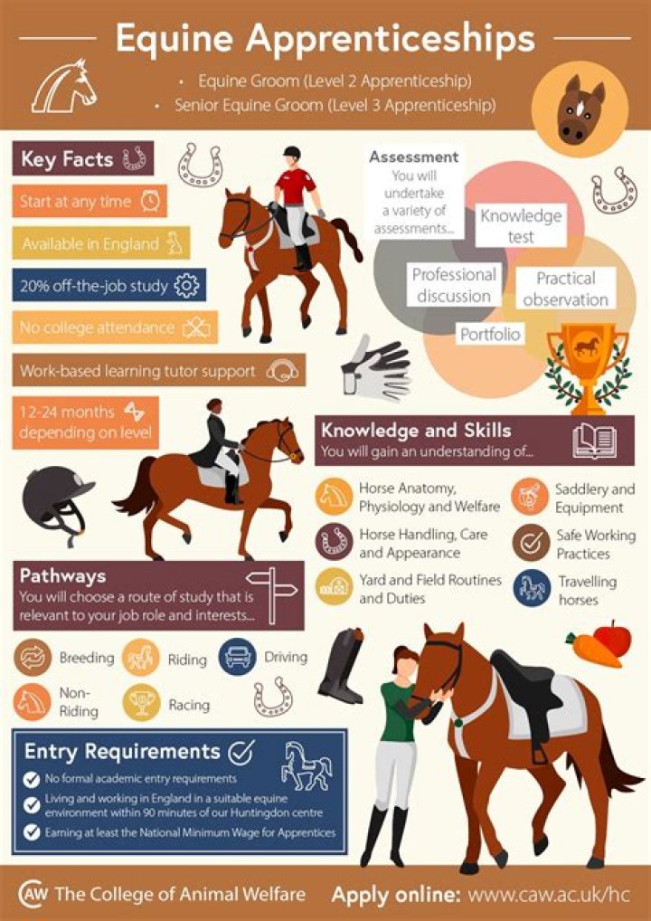 What do I need to study to work with animals?