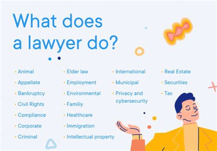 What do lawyers mostly do?
