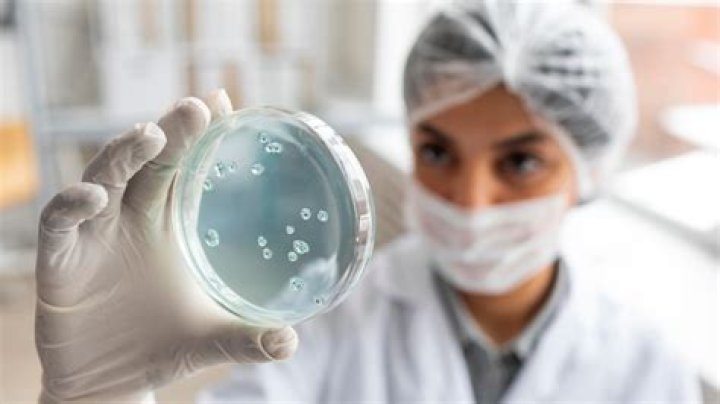 What do microbiologists do?