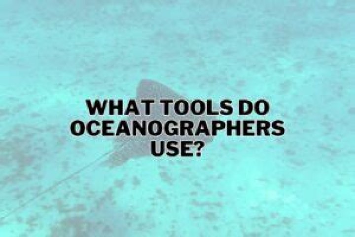 What do oceanographers major in?