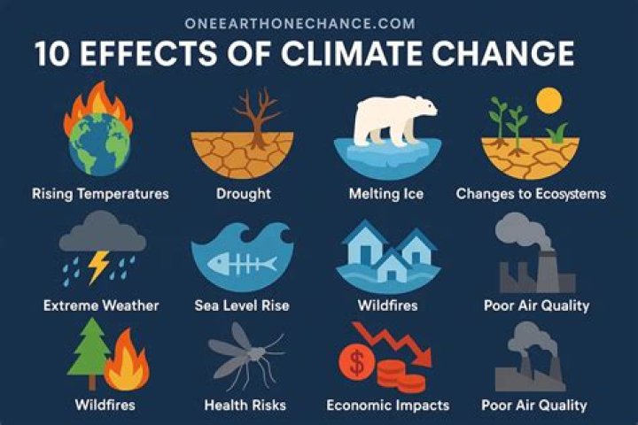 What do scientists say about the effects of global warming?