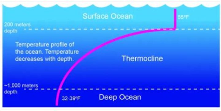 What do the temperature and salinity of sea water determine?