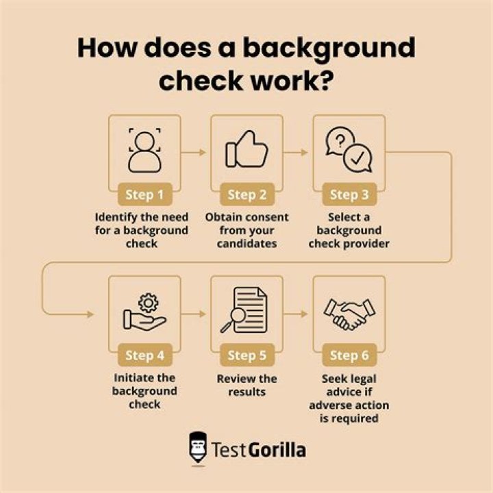 What do they look for in a background check?