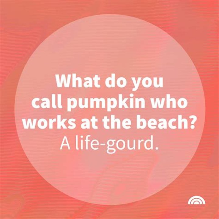 What do you call a road trip?