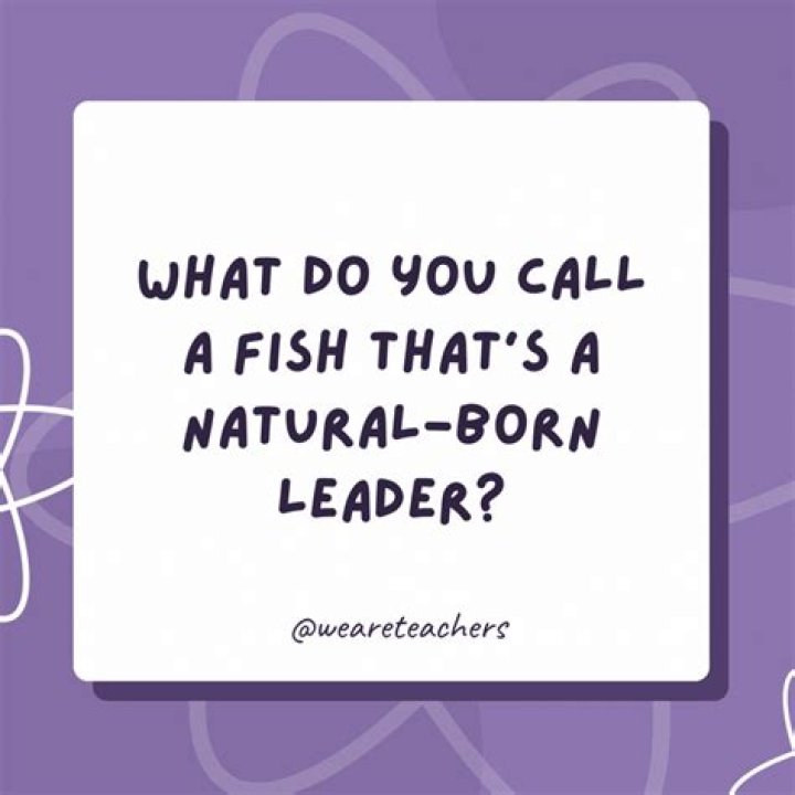 What do you call a supportive person?