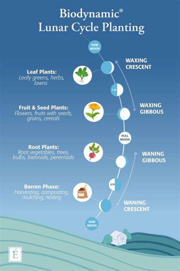 What do you mean by biodynamic agriculture?