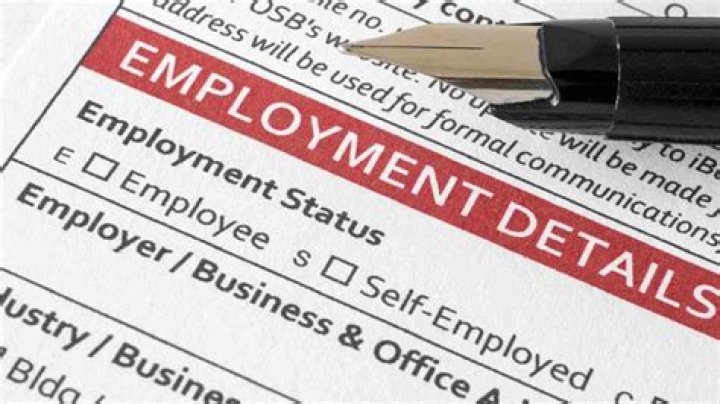 What do you mean employment?