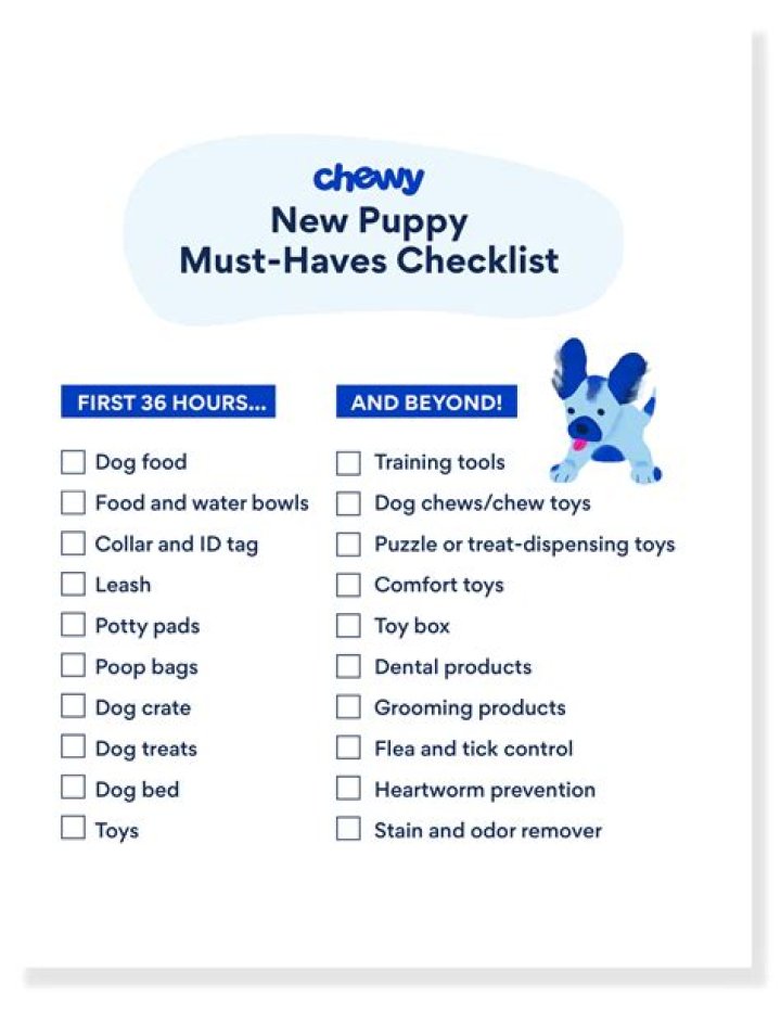 What do you need to have to be a dog walker?