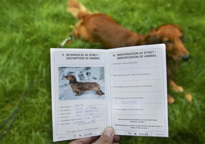 What documents are needed for pets to travel?