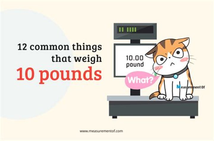 What does 10 pounds get you on EE?