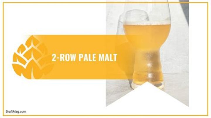 What does 2 row malt mean?