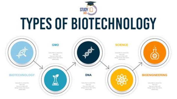 What does a biotech CSO do?