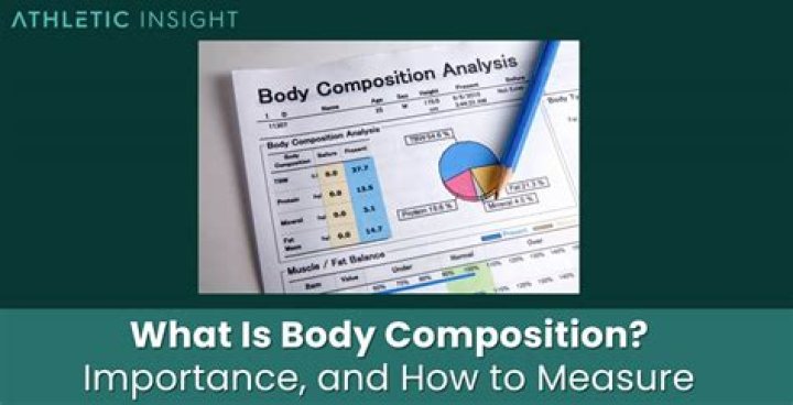What does a body composition analysis show?