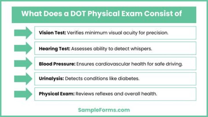 What does a CDL DOT physical consist of?