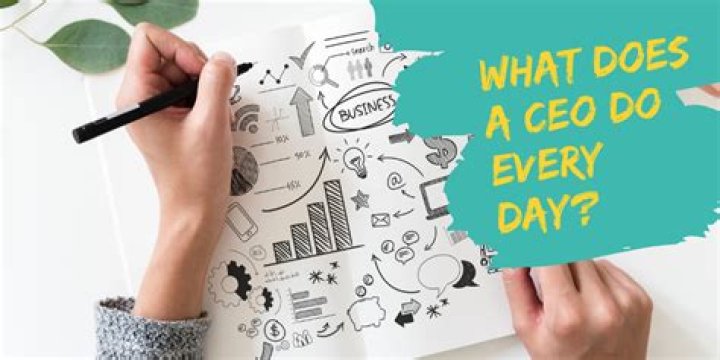 What does a CEO do day to day?