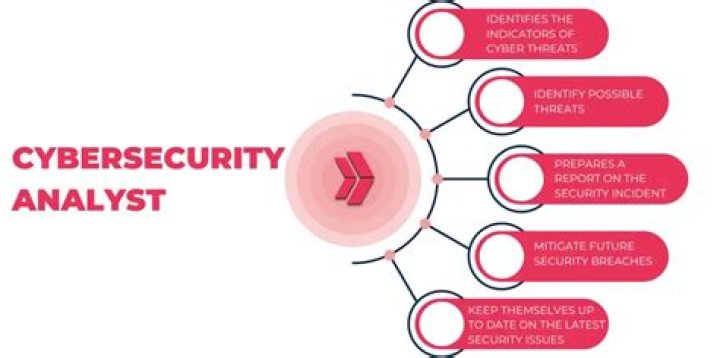 What does a cyber analyst do?