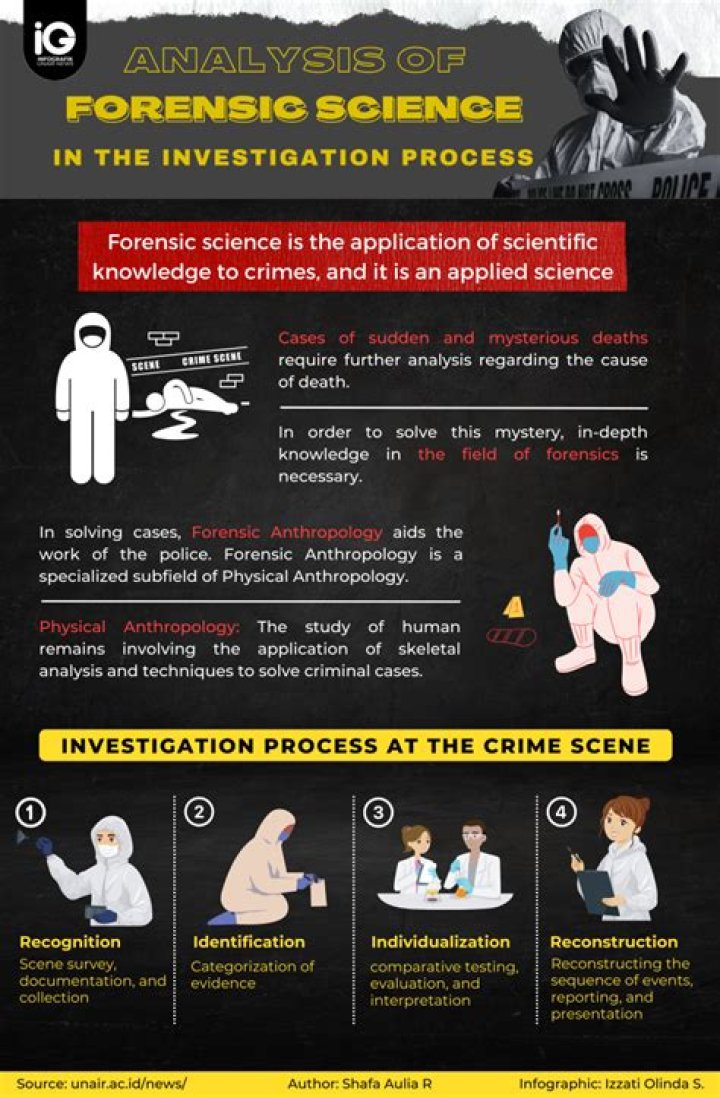 What does a forensic anthropologist do in a day?