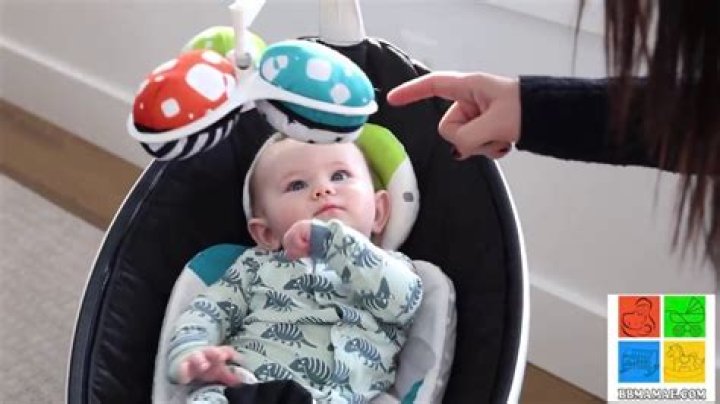 What does a mamaRoo do?