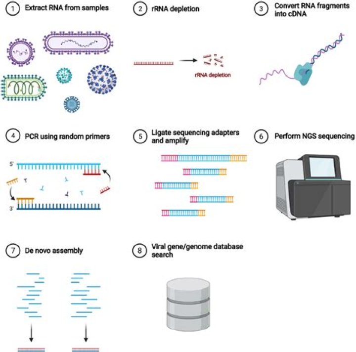 What does a Metatranscriptome measure?