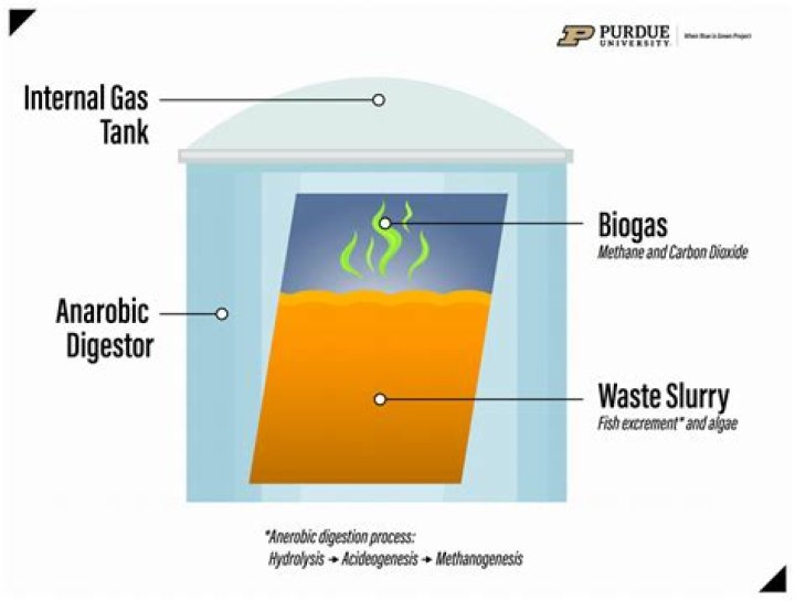 What does a methane digester do?
