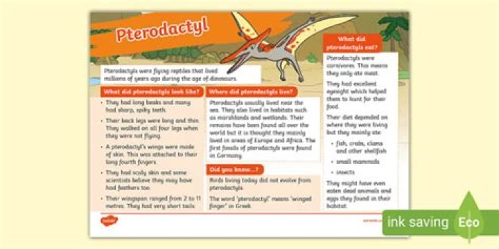 What does a pterodactyl eat for kids?