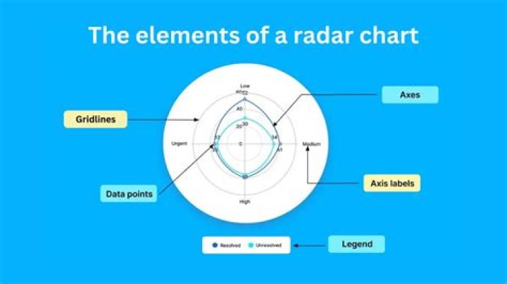 What does a radar graph show?