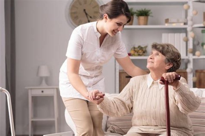 What does a sitter for the elderly do?