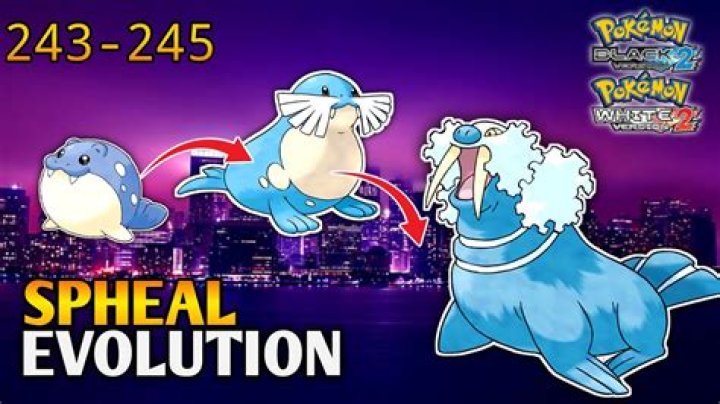 What does a Spheal evolve in too?