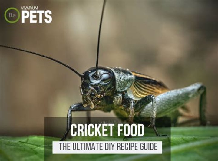 What does a tree cricket eat?