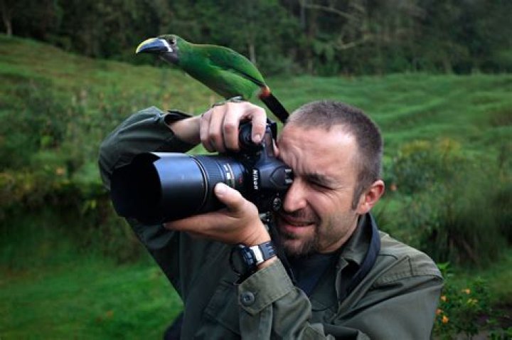 What does a Wildlife Photographer do on a daily basis?