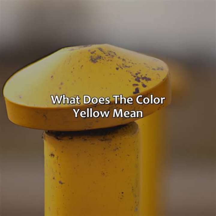 What does a yellow dog harness mean?
