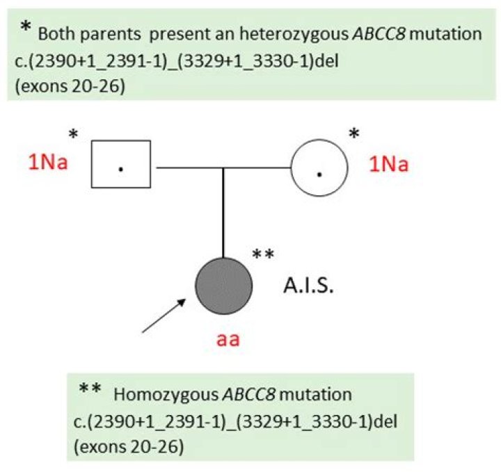 What does ABCC8 do?