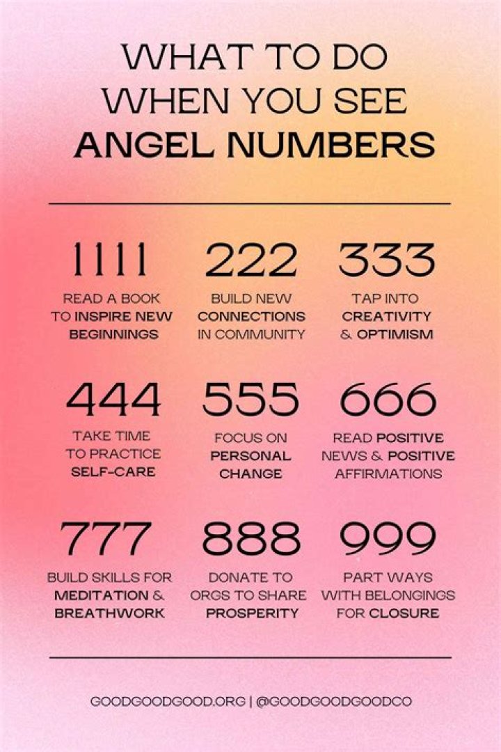 What does agency number mean?