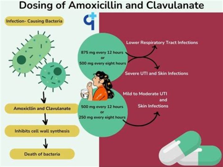 What does amoxicillin and clavulanate side effects?