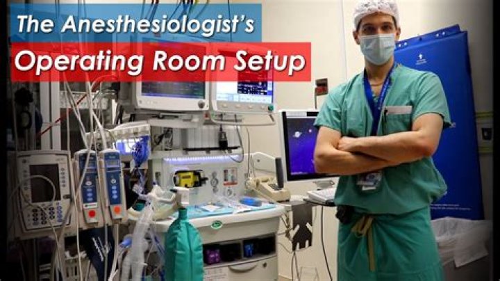 What does an anesthesiologist do on a daily basis?
