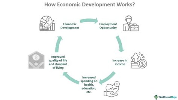 What does an economic planner do?