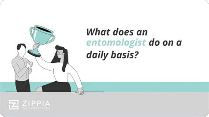 What does an entomologist do on a daily basis?