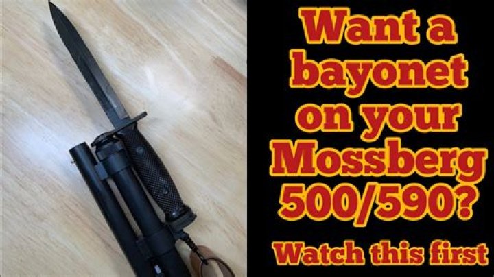 What does an M6 bayonet fit?